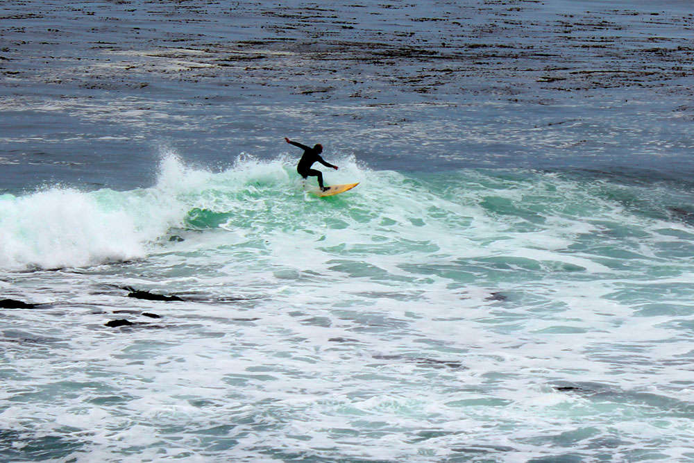 Monterey Surfing (3) – Wo ist Tatjana